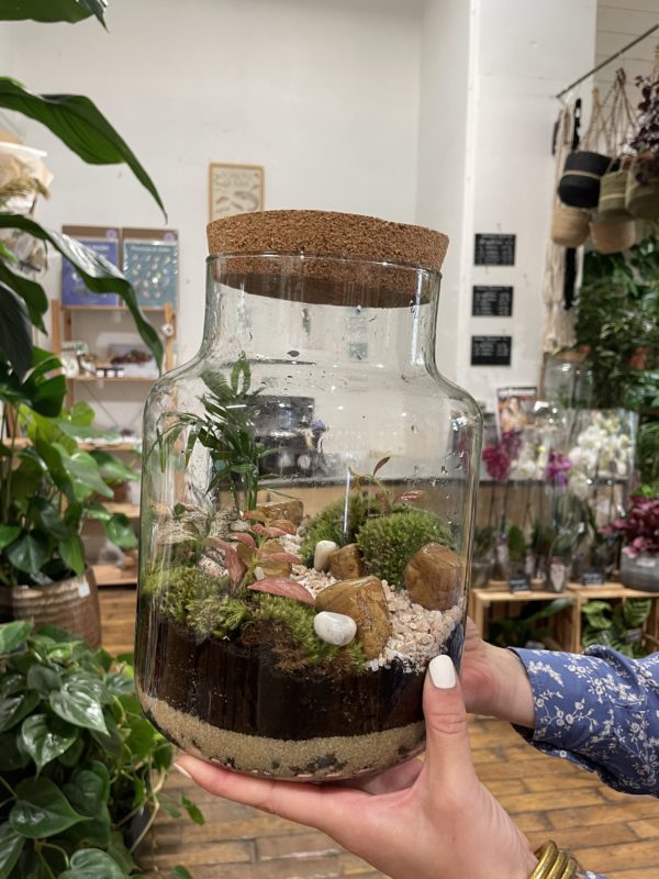 Terrarium taille M