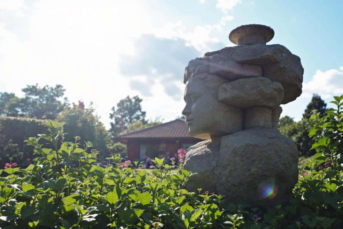 Désherbant naturel qui tue les racines