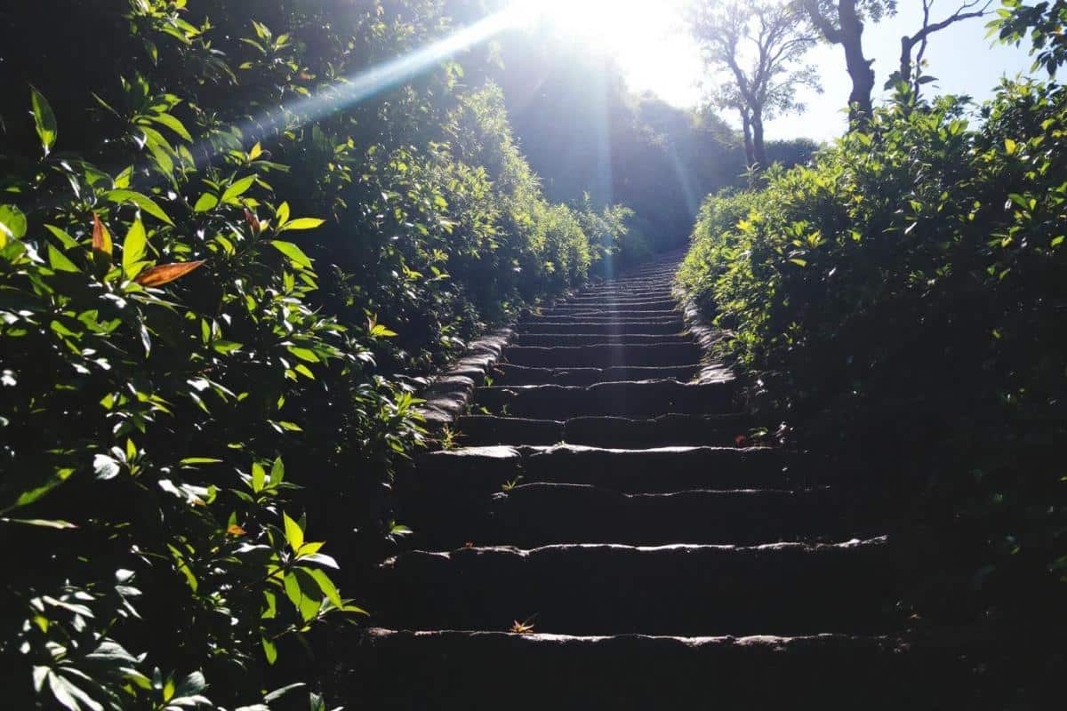 Comment faire un escalier dans un talus pentu ?